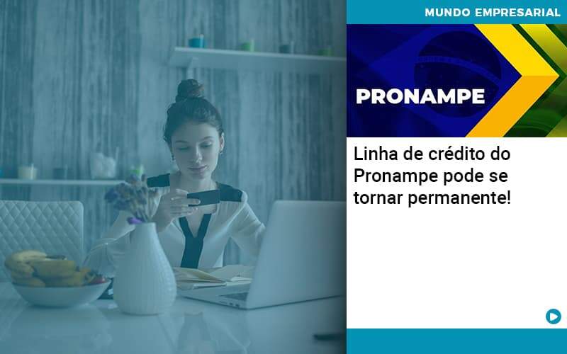 Linha De Credito Do Pronampe Pode Se Tornar Permanente Organização Contábil Lawini - Contabilidade em Galiléia - MG | Contec Assessoria Contábil